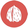 FRUTOS DE CÁSCARA